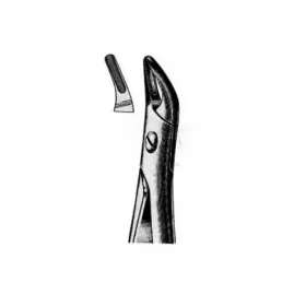 Exctracting forceps for upper roots