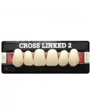 2 layers Cross-linked teeth