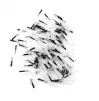 Brushtips Dentonics, black bristles, 100 pcs.