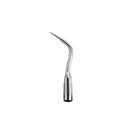 Scaler Tip EMS P10