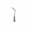 Scaler Tip EMS P10