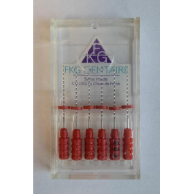 Flex. Reamers 560, 6 vnt. Flex. Reamers 560, 6 vnt.