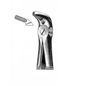 Exctracting forceps for lower premolars