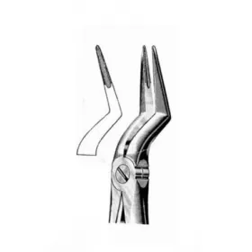 Exctracting forceps for lower roots