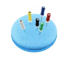 Sponge for Endo file holder