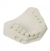 Plaster Alabaster Type II, 2 kg