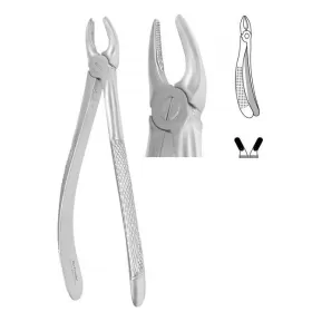 Forceps for premolars