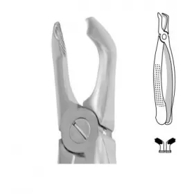 Forceps for molars