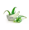 Purles 124 Aloe Vera Calming Gel 98%, 50 ml.