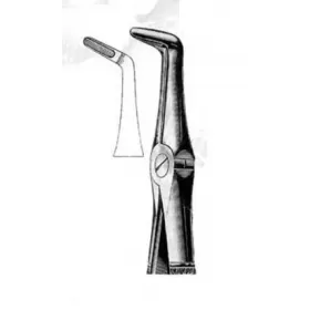Exctracting forceps for lower roots
