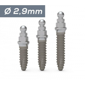 ICX-mini implantas Ø 2,9 mm ICX-mini implantas Ø 2,9 mm
