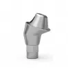 ICX-multi Abutment 17° with hex