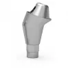 ICX-multi Abutment 17° with hex