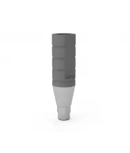 ICX-Titanium Abutments