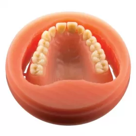 Pink CAD/CAM disc Full denture