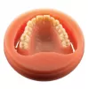 Pink CAD/CAM disc Full denture