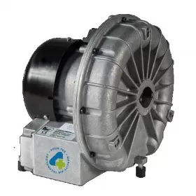 Vacuum pump A001/L for dry suction
