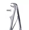 Exctracting forceps children`s for lower incisors
