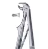 Exctracting forceps children`s for lower molars