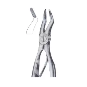 Exctracting forceps children`s for upper roots