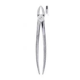 Exctracting forceps children`s for upper incisors & canines