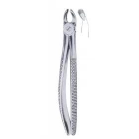 Exctracting forceps children`s for upper molars & universal