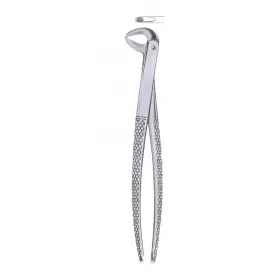Exctracting forceps children`s for lower teeth universal