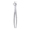 Exctracting forceps children`s for lower teeth universal