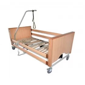 Functional electric bed with lifting handle