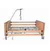 Functional electric bed with lifting handle