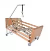 Functional electric bed with lifting handle