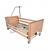Functional electric bed with lifting handle