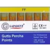 Gutta Percha Points, XF~MF, 100 pcs.