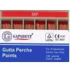 Gutta Percha Points, XF~MF, 100 pcs.