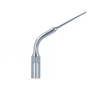 Antgalis skaleriui EMS E5