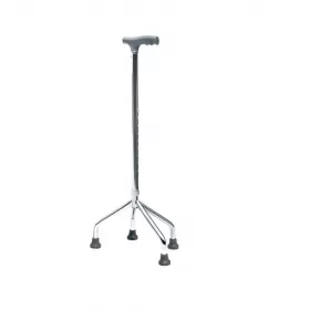 GR303 Four-Legged Cane