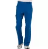 Men's Mid Rise Tapered Leg Pant WWE140 in Royal