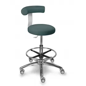 Chair with wheels, backrest and footrest 1283GDent