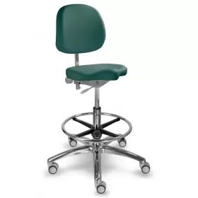 Chair with wheels, footrest and backrest 1258GDent