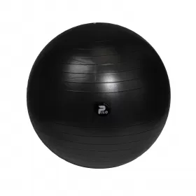 Rehabilitation ball ABS 75 cm