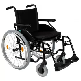 Wheelchair Cruiser 2