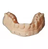 Poli3Dent MODEL pro - 3D spausdinimo derva