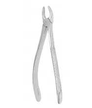 Extracting Forceps