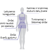 Diržai ir laikysenos koreguokliai Diržai ir laikysenos koreguokliai