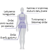 Belts and posture correctors