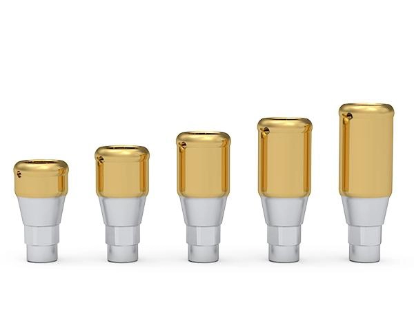 ICX- Maximus lokatorius dviejų dalių